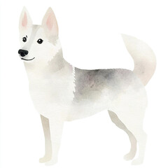 Beautiful Watercolor Painting of a Simple Norwegian Elkhound Dog