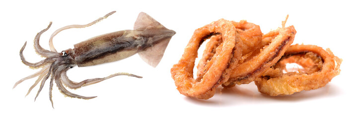 Deep fried calamari rings on white background 