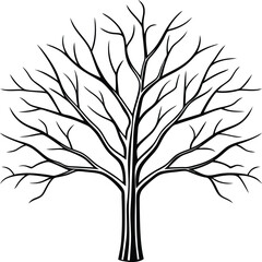 a bare winter tree with fine detailed branches