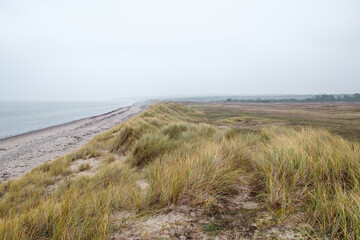 Sand dunes at Melby Overdrev, Denmark. Coastline view, dune grass and empty beach.