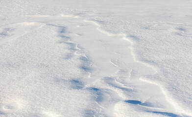 The snow is white and the ground is covered in it