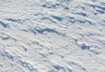 The snow is white and the ground is covered in it