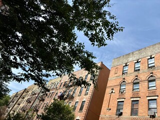 Row of brick apartment buildings and tree under clear blue sky