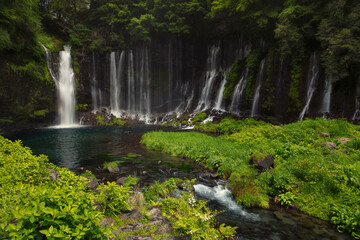 Obraz premium Shiraito waterfalls in spring in Japan