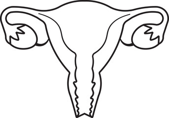 female reproductive health 