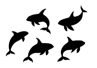 killer whale silhouette collection © Muflif