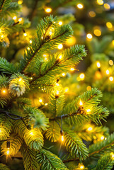 Glowing Christmas lights on pine tree branches