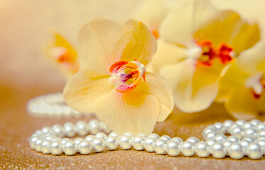 yellow Orchid and pearl necklace on a shiny gold background
