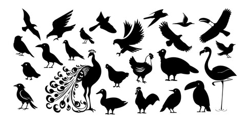 Bird silhouette vector illustration