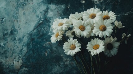 A bouquet of fresh white daisies on a dark textured background.