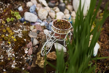 Charming and Captivating Miniature Garden featuring a beautiful Decorative Planter and lovely Stones