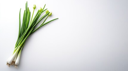 Obraz premium Fresh Green Onions with Roots and Buds on White Background
