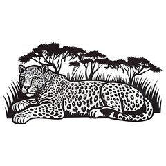 A leopard lying down with its legs tucked.