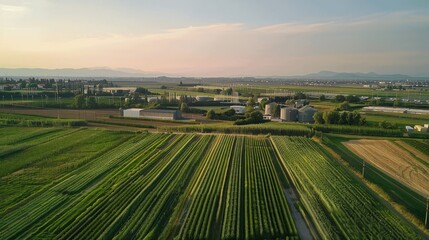 Naklejka premium Aerial View of Lush Green Fields and Agricultural Land at Sunset