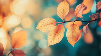 Obraz premium Golden Autumn Leaves on Branch in Nature