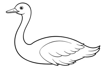 Beautiful Rhea   bird vector art illustration