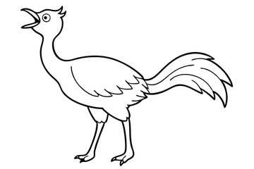 Beautiful Rhea   bird vector art illustration