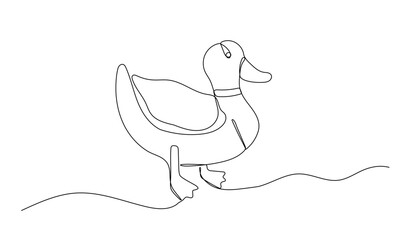Duck one continuous line illustration. Hand drawn doodle sketch of farm bird on white background