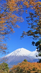 Fall foliage season is right around the corner.