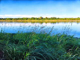 Tranquil river landscape with lush grass and vibrant greenery along the water's edge in the late afternoon light