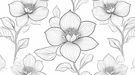 Obraz premium Floral Line Art Illustration