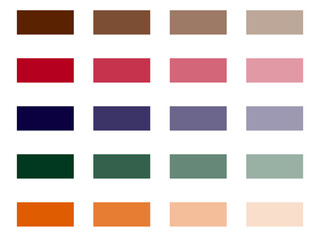 Multicolor Swatch Palette for Design