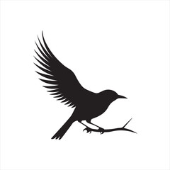 Fototapeta premium Bird silhouette vector icon design whit a white background.