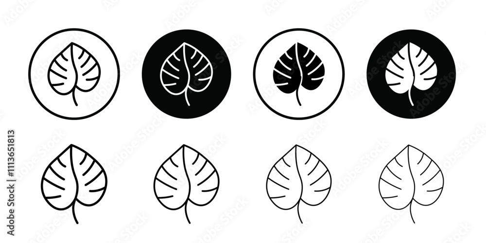 Poster Monstera leaves icon Outline vector for web ui