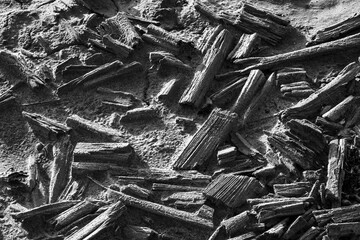 Black and white photograph showing weathered logs scattered across sandy surface, emphasizing texture and contrast.