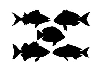 fish vector silhouette collection