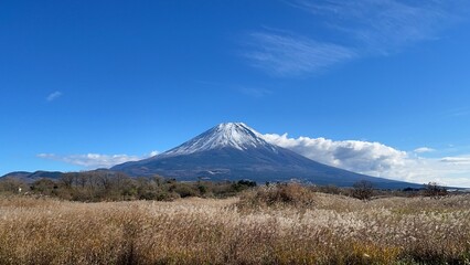 Let's go see some autumn leaves