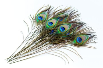 Fototapeta premium Exotic peacock feathers on white background with copy space.