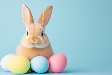 Cute fluffy hare with colourful Easter eggs, Easter traditional concept, Catholic Easter banner, free space for text