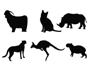 Animal fauna squirrel illustration wildlife
