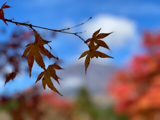 Fall foliage season is right around the corner