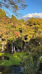 Obraz premium Fall foliage season is right around the corner