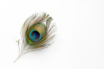 Obraz premium Exotic peacock feather on white background. Tropical royal style.