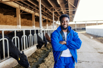 Portrait of happy multicultural farmer standing with arms crossed at cow's farm. Livestock concept.