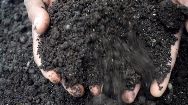 Closeup of male farmer's hands holding compost, organic soil, natural fertilizer, agriculture and fertility concept.