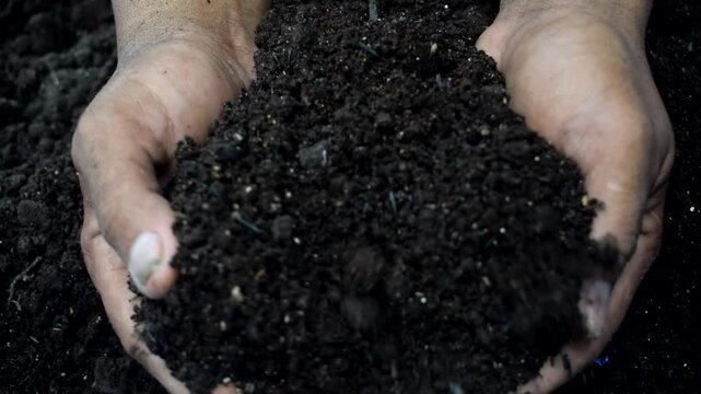 Closeup of male farmer's hand studying healthy compost from a pile, some call it dirt but farmer calls it potential