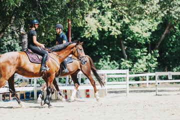 Two equestrians train outdoors, riding horses in a sunny, fenced arena surrounded by trees. They are wearing helmets, focusing on equestrian skills and horse training in a natural setting.