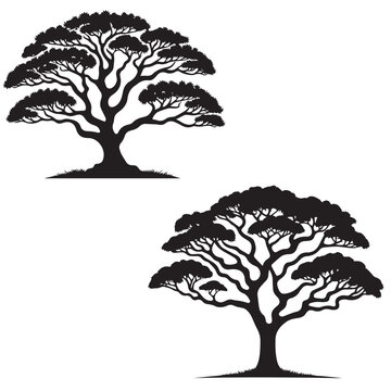  Koa Tree -  silhouette of   koa  tree  - tree silhouette - natural icon- wood icon   