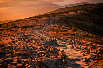 Hiking trail to the top of Babia Góra Mountain © event