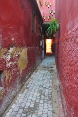 Narrow passage with crumbling painted red stone walls on either side, one green hanging plant and brightly lit doorway at the end