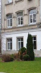 Fototapeta premium Chisinau, Moldova, interior, decor, tree, New Year, holiday, scenery