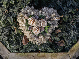 Strukturen und Naturmaterial in der Natur bei Reif und Frost, Grababdeckung Winter