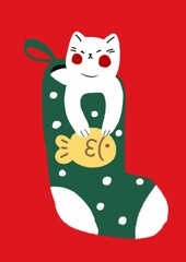 christmas cat with green socks .