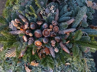 Strukturen und Naturmaterial in der Natur bei Reif und Frost, Grababdeckung Winter