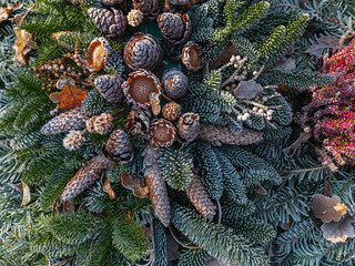 Strukturen und Naturmaterial in der Natur bei Reif und Frost, Grababdeckung Winter