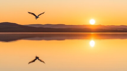 Fototapeta premium Sunrise over calm lake with seagull in flight, reflection on water.